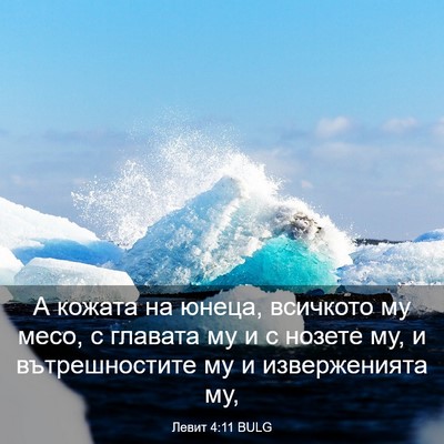 Picture 03 - Левит 4:11 BULG - А кожата на юнеца, всичкото - Bible Verse Picture