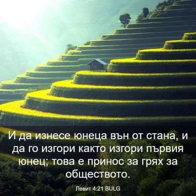 Picture 03 - Левит 4:21 BULG - И да изнесе юнеца вън от - Bible Verse Picture