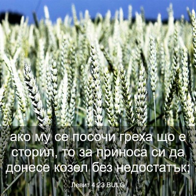 Picture 03 - Левит 4:23 BULG - ако му се посочи греха що е - Bible Verse Picture