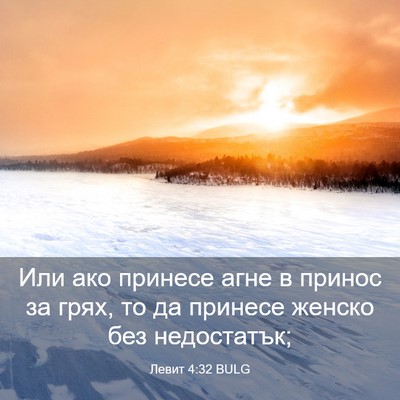 Picture 03 - Левит 4:32 BULG - Или ако принесе агне в - Bible Verse Picture
