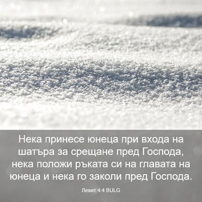 Picture 03 - Левит 4:4 BULG - Нека принесе юнеца при - Bible Verse Picture