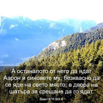 Picture 03 - Левит 6:16 BULG - А останалото от него да - Bible Verse Picture