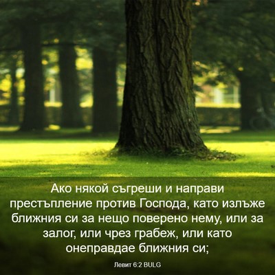 Picture 03 - Левит 6:2 BULG - Ако някой съгреши и - Bible Verse Picture