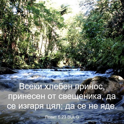 Picture 03 - Левит 6:23 BULG - Всеки хлебен принос, - Bible Verse Picture