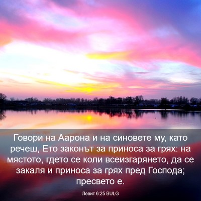 Picture 03 - Левит 6:25 BULG - Говори на Аарона и на - Bible Verse Picture