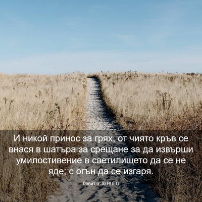 Picture 03 - Левит 6:30 BULG - И никой принос за грях, от - Bible Verse Picture