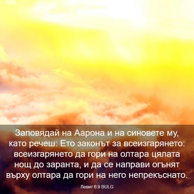 Picture 03 - Левит 6:9 BULG - Заповядай на Аарона и на - Bible Verse Picture