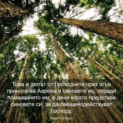 Picture 03 - Левит 7:35 BULG - Това е делът от Господните - Bible Verse Picture