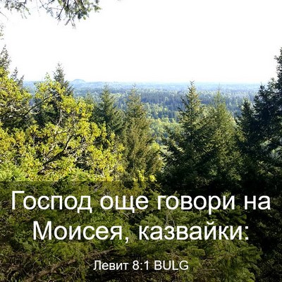 Picture 03 - Левит 8:1 BULG - Господ още говори на - Bible Verse Picture