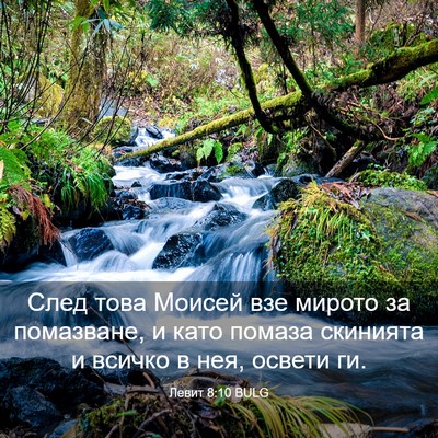 Picture 03 - Левит 8:10 BULG - След това Моисей взе - Bible Verse Picture