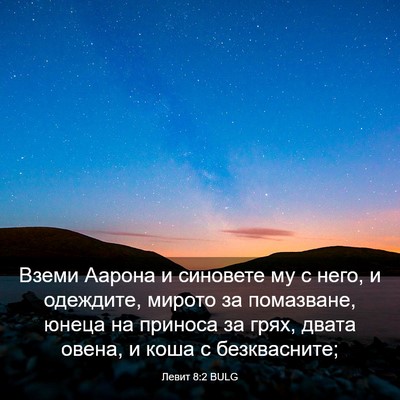 Picture 03 - Левит 8:2 BULG - Вземи Аарона и синовете му - Bible Verse Picture