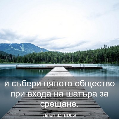 Picture 03 - Левит 8:3 BULG - и събери цялото общество - Bible Verse Picture