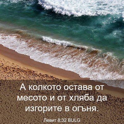 Picture 03 - Левит 8:32 BULG - А колкото остава от месото - Bible Verse Picture