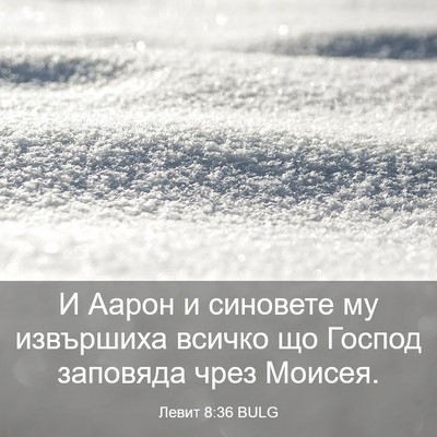 Picture 03 - Левит 8:36 BULG - И Аарон и синовете му - Bible Verse Picture