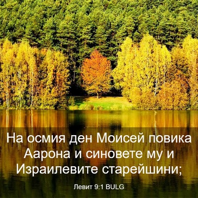 Picture 03 - Левит 9:1 BULG - На осмия ден Моисей повика - Bible Verse Picture