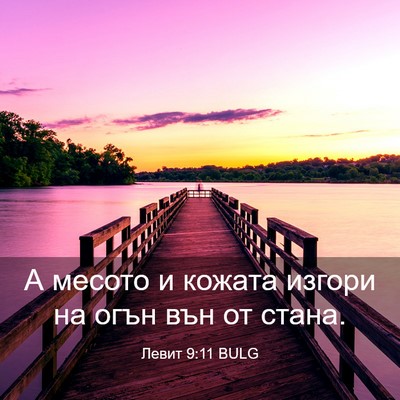 Picture 03 - Левит 9:11 BULG - А месото и кожата изгори на - Bible Verse Picture