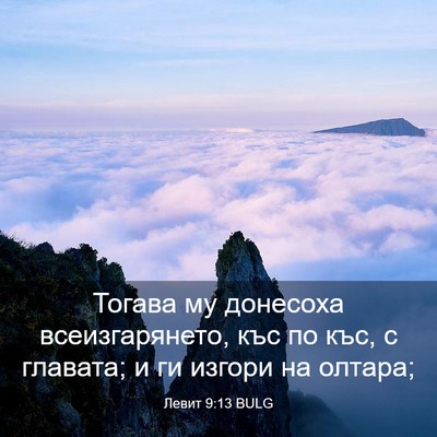Picture 03 - Левит 9:13 BULG - Тогава му донесоха - Bible Verse Picture