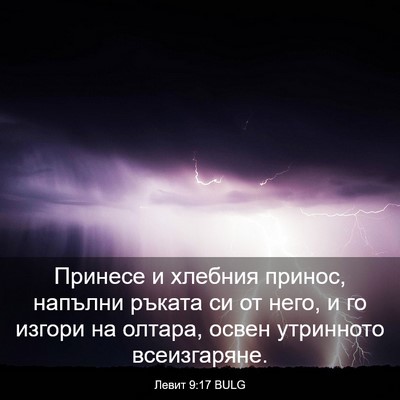Picture 03 - Левит 9:17 BULG - Принесе и хлебния принос, - Bible Verse Picture