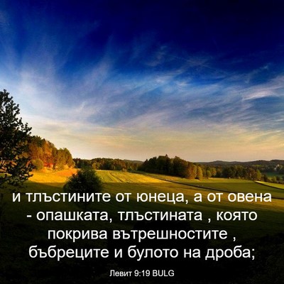 Picture 03 - Левит 9:19 BULG - и тлъстините от юнеца, а от - Bible Verse Picture