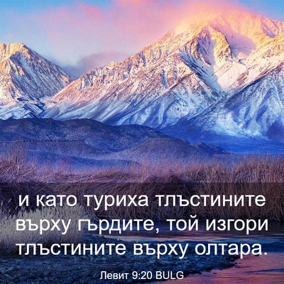 Picture 03 - Левит 9:20 BULG - и като туриха тлъстините - Bible Verse Picture