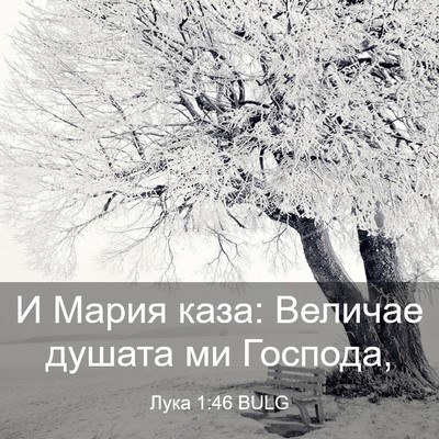 Picture 03 - Лука 1:46 BULG - И Мария каза: Величае - Bible Verse Picture