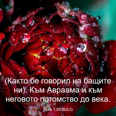 Picture 03 - Лука 1:55 BULG - (Както бе говорил на бащите - Bible Verse Picture