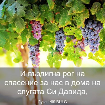 Picture 03 - Лука 1:69 BULG - И въздигна рог на спасение - Bible Verse Picture
