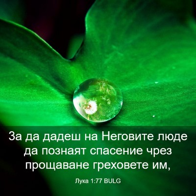 Picture 03 - Лука 1:77 BULG - 3а да дадеш на Неговите - Bible Verse Picture