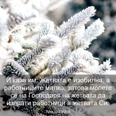 Picture 03 - Лука 10:2 BULG - И каза им: Жетвата е - Bible Verse Picture