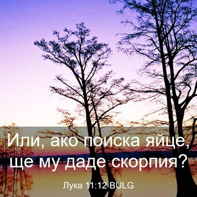 Picture 03 - Лука 11:12 BULG - Или, ако поиска яйце, ще му - Bible Verse Picture