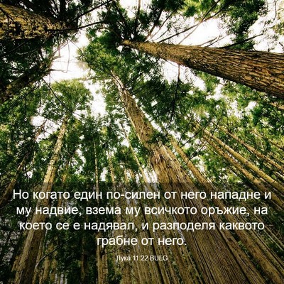 Picture 03 - Лука 11:22 BULG - Но когато един по-силен от - Bible Verse Picture