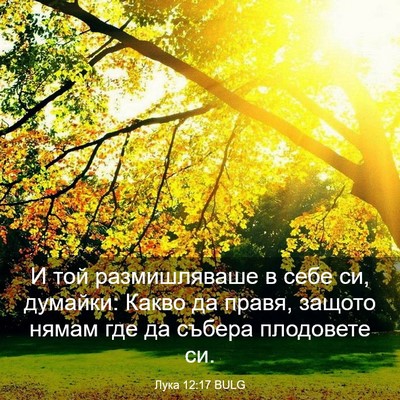Picture 03 - Лука 12:17 BULG - И той размишляваше в себе - Bible Verse Picture