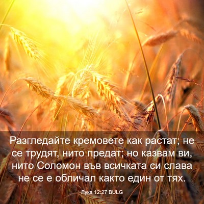 Picture 03 - Лука 12:27 BULG - Разгледайте кремовете как - Bible Verse Picture