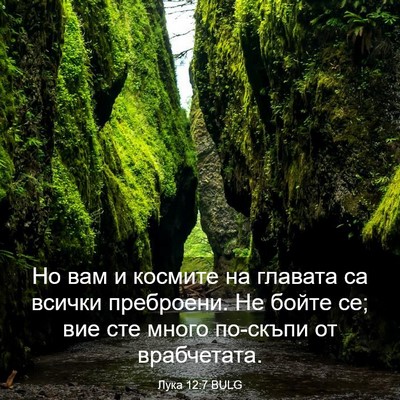 Picture 03 - Лука 12:7 BULG - Но вам и космите на главата - Bible Verse Picture
