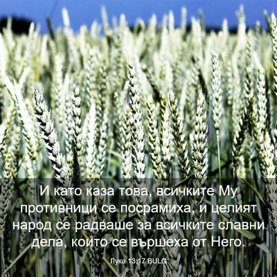 Picture 03 - Лука 13:17 BULG - И като каза това, всичките - Bible Verse Picture
