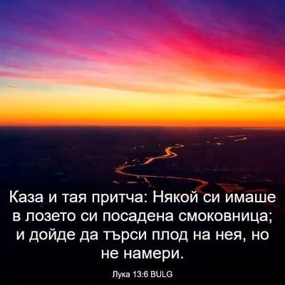 Picture 03 - Лука 13:6 BULG - Каза и тая притча: Някой си - Bible Verse Picture