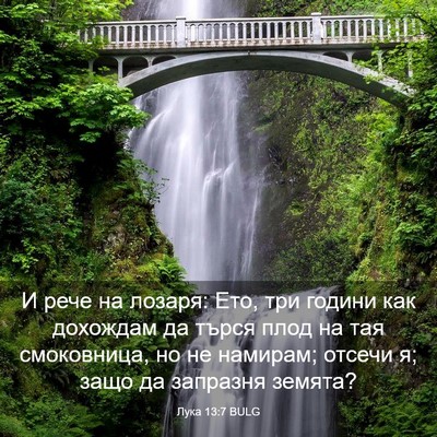 Picture 03 - Лука 13:7 BULG - И рече на лозаря: Ето, три - Bible Verse Picture