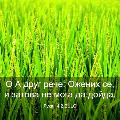 Picture 03 - Лука 14:2 BULG - О А друг рече: Ожених се, и - Bible Verse Picture