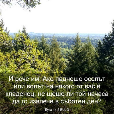 Picture 03 - Лука 14:5 BULG - И рече им: Ако паднеше - Bible Verse Picture