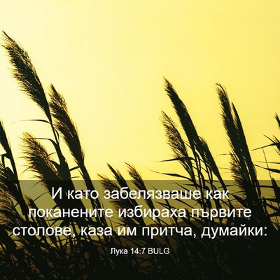 Picture 03 - Лука 14:7 BULG - И като забелязваше как - Bible Verse Picture