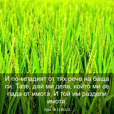 Picture 03 - Лука 15:12 BULG - И по-младият от тях рече на - Bible Verse Picture