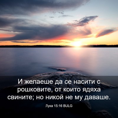 Picture 03 - Лука 15:16 BULG - И желаеше да се насити с - Bible Verse Picture