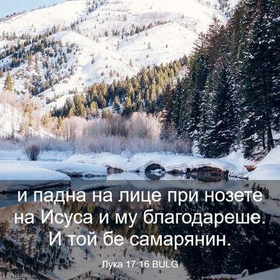 Picture 03 - Лука 17:16 BULG - и падна на лице при нозете - Bible Verse Picture