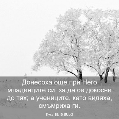 Picture 03 - Лука 18:15 BULG - Донесоха още при Него - Bible Verse Picture
