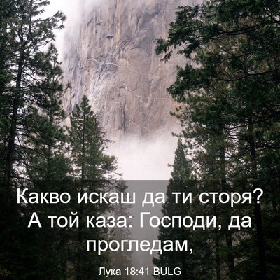 Picture 03 - Лука 18:41 BULG - Какво искаш да ти сторя? А - Bible Verse Picture