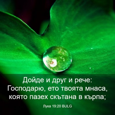 Picture 03 - Лука 19:20 BULG - Дойде и друг и рече: - Bible Verse Picture