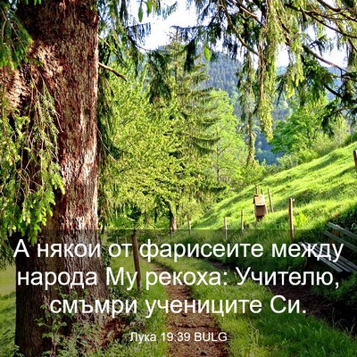 Picture 03 - Лука 19:39 BULG - А някои от фарисеите между - Bible Verse Picture