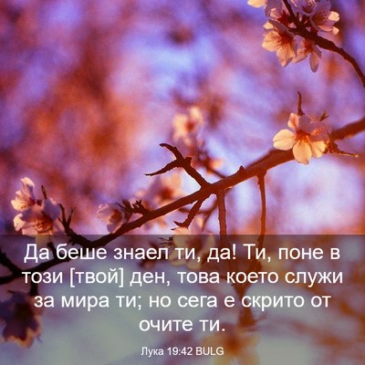 Picture 03 - Лука 19:42 BULG - Да беше знаел ти, да! Ти, - Bible Verse Picture