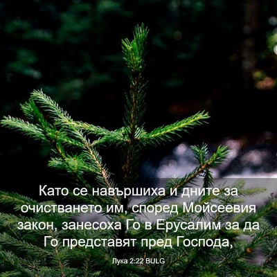 Picture 03 - Лука 2:22 BULG - Като се навършиха и дните - Bible Verse Picture