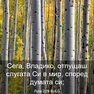 Picture 03 - Лука 2:29 BULG - Сега, Владико, отпущаш - Bible Verse Picture